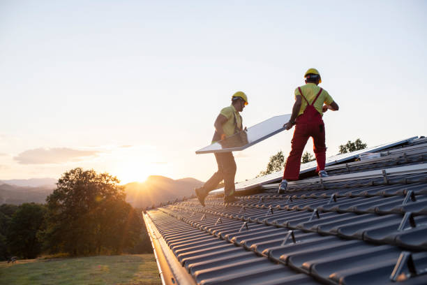 Best Roof Maintenance and Cleaning  in Minturn, CO