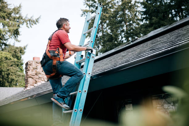 Best Skylight Installation and Repair  in Minturn, CO